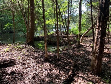 189 Cobalt Cove, Corsicana, TX 75109 - photo 3