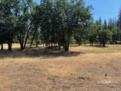 200 Creek Crossing Rd, Hayfork, CA 96041 - photo 2