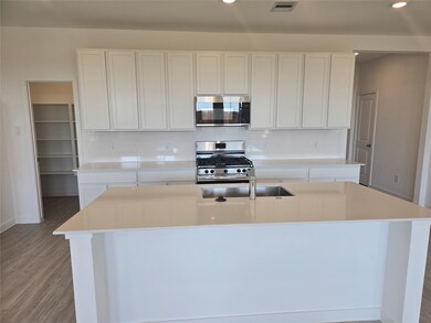 28515 Prickle Grass Trail, Hockley, TX 77447 - photo 3