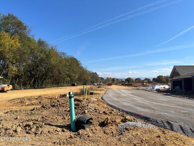 Phase 3 Site