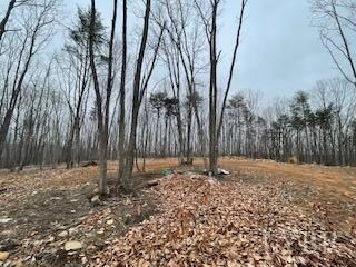 0 Rocky Ford Rd unit 335980, Bedford, VA 24523 - photo 2