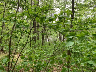Lot 8 Somo Ridge Dr, Tomahawk, WI 54487 - photo 4