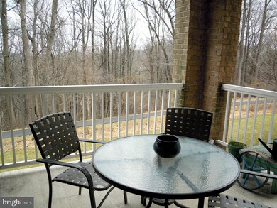 12310 Rosslare Ridge Rd unit 104, Lutherville Timonium, MD 21093 - photo 4