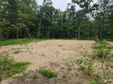 5369 E 68th St, Chase Township, MI 49623 - photo 6