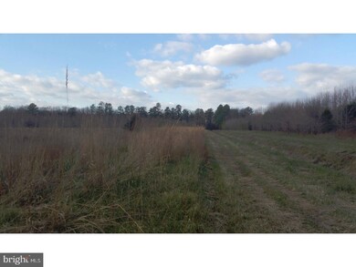 39 Ac Vernon Rd, Harrington, DE 19952 - photo 5