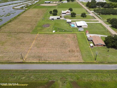 Tbd Noah Daigle Rd, Church Point, LA 70525 - photo 4