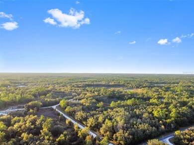 0 Riverstone St unit MFRTB8448266, Webster, FL 33597 - photo 6