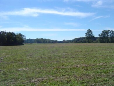 0 Philpot Rd unit 1874190, Bell Buckle, TN 37020 - photo 4