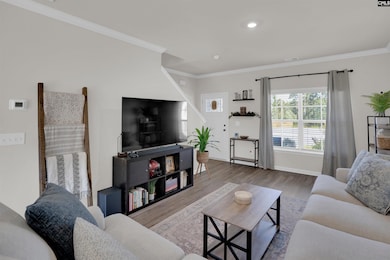 524 Silver Dipper Run, Lexington, SC 29072 - photo 3