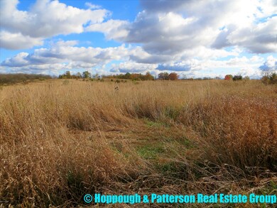 V/L N Jefferson St, Ionia, MI 48846 - photo 3