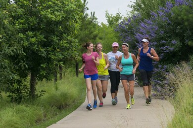 28510 Jade Springs Ln, Fulshear, TX 77441 - photo 5