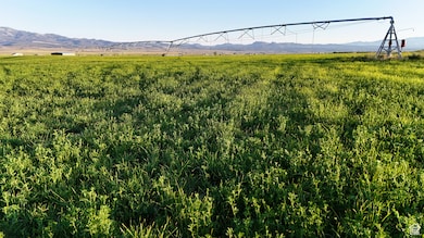 View of yard with a mountain view and a view of countryside