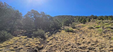 20202016s No Name Rd, Williams, AZ 86046 - photo 7