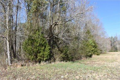 0 Lewis Tyler Lane (Rt 620) Ave unit 2304681, Charles City, VA 23030 - photo 4