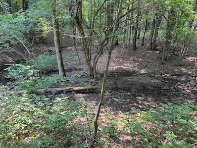 0 Allen Rd unit 24370349, Sardinia, NY 14055 - photo 5