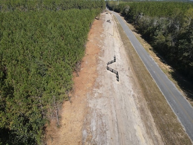 0 Old Salt Rd, Andalusia, AL 36421 - photo 3