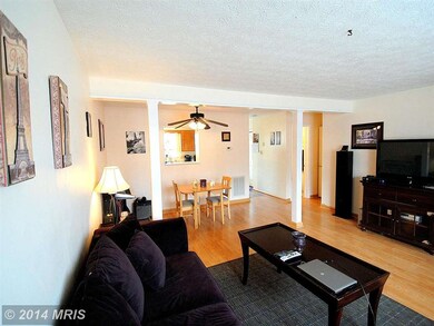 403 Banbury Terrace, Winchester, VA 22601 - photo 4