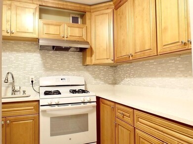 32 Juniper St unit 98, Brookline, MA 02445 - photo 5