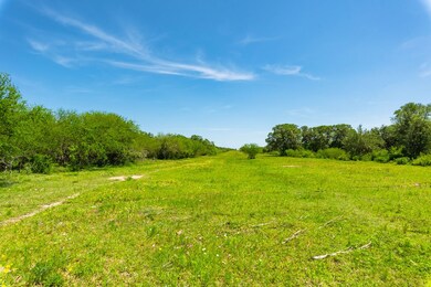 000 Ellis Rd, Beeville, TX 78102 - photo 4