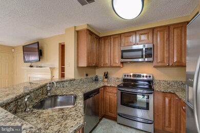 1508 Summerchase Ct unit A, Reston, VA 20194 - photo 5
