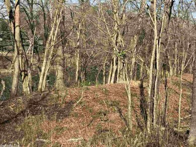00 Arkansas 337, Heber Springs, AR 72543 - photo 4
