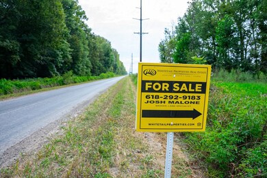 Cr 1250 N, Ellery, IL 62833 - photo 5