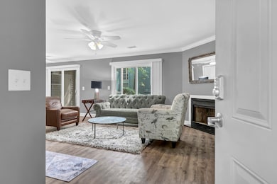7911B Windfern -Tidalcreekphoto- (2)