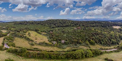 734 Forest Grove Rd unit 703, Lexington, VA 24450 - photo 7