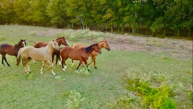 1992 County Road 2100, Cooper, TX 75432 - photo 7