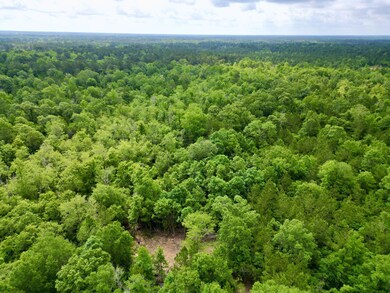 3-web-or-mls-DJI_0077