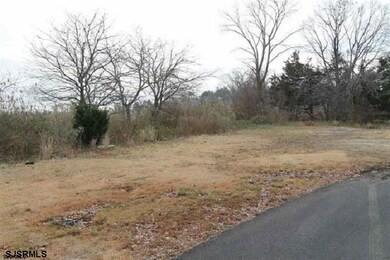 127 Delmar Ave, Linwood, NJ 08221 - photo 4