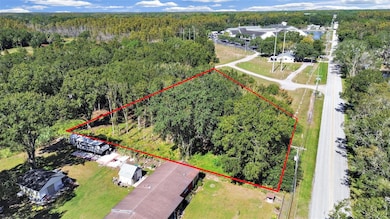 16906 Lakeshore Rd, Lutz, FL 33558 - photo 5