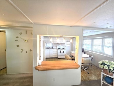 37135 Sandra Ave, Zephyrhills, FL 33542 - photo 5