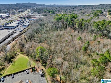 580 Goldenrod Dr unit 1, Birmingham, AL 35215 - photo 2