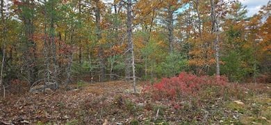 0 Lindsay Ln, South Berwick, ME 03908 - photo 7