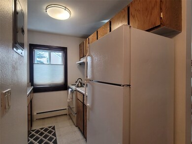 214 S Harris St unit 101, Breckenridge, CO 80424 - photo 6