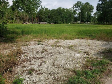 30711 Collier Smith Rd, Magnolia, TX 77354 - photo 3