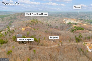 0 Trestle Ridge Rd unit 10654142, Toccoa, GA 30577 - photo 4