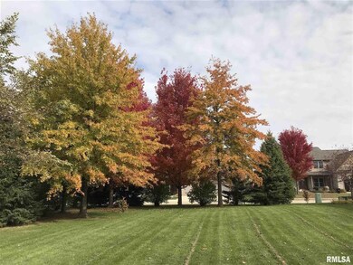 6603 W Willow Oak Ct, Edwards, IL 61528 - photo 4