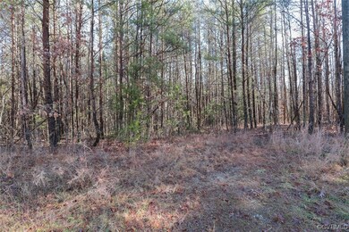 Wooded Lot