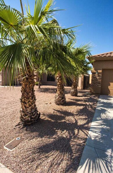 Front Yard Detail