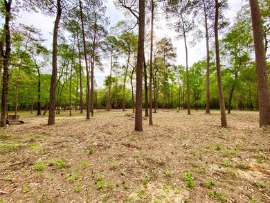 30118 Taylor Rd, Magnolia, TX 77354 - photo 4