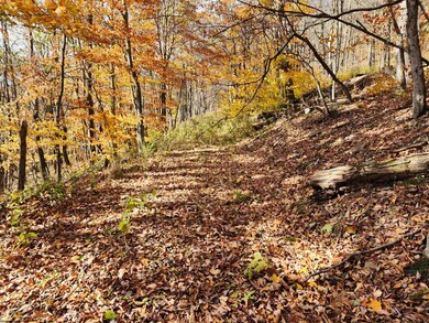 20 E Meadows Rd, Harman, WV 26270 - photo 2