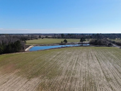 Jim Meeks Rd, Nicholls, GA 31554 - photo 7