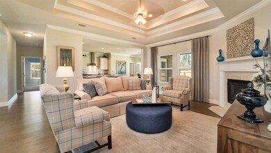 Living area with crown molding, wood finished floors, a raised ceiling, and a premium fireplace