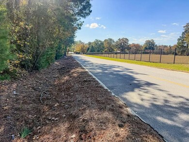 0 Sanderlin Rd unit 25637126, Wilmar, AR 71675 - photo 3