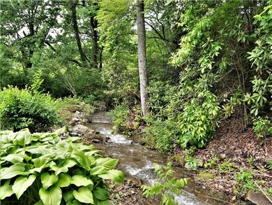Imagine This in Your Back Yard!