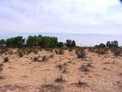 352-390-14 Jujube, Inyokern, CA 93527 - photo 7