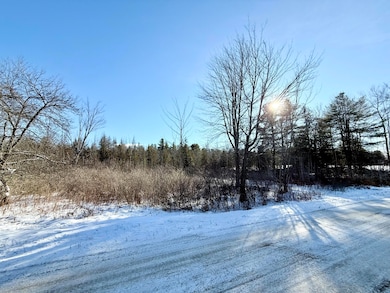 0 Hank Wilson Rd, Cadyville, NY 12918 - photo 2