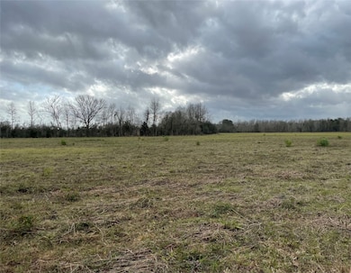 000 County Road 2367, Hardin, TX 77575 - photo 3